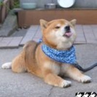 3f6fd5f6428e958de7f161c6425b57c8b81e57ab