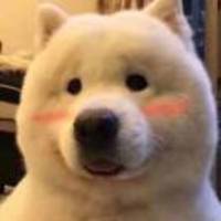 C65a0810fdcfa02cfbb7af9a5651735a50ac4783