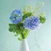 E5649cd58cd6c8605c7d4b9dd9f589cde9228cfa