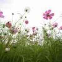 Fb6a1c58fb39a82ec5f7e37a832d4452c17c3464