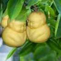 04362800d9a1a89c9d00f157cf7df098b5b29a08