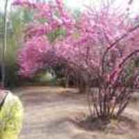 Ec7b5c4444178f801ce73c7a5cd725b7f5a9776b