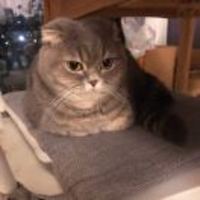 7e0536b5ff835877c7a759d3d77cecbdc1a81bce