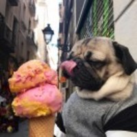 8412ea9b0fdf7b7d1b632ce0c30bb44a5a55cb86