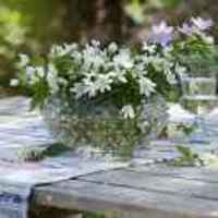 002418618ed2b2bfc47c5262c4f872e79d445e22