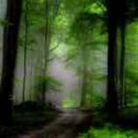 Dc1b266c787d399243995d7406f1ca117a044abe