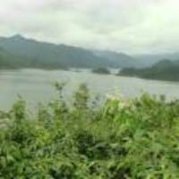 01eed6906bd3bf39dcada9518079e80f9fbd05f2