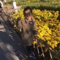 04e4656062cabd3b94a4836ac403ebaf074a9095