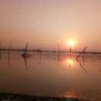 C8cbd0aef6d273691d4d1b80d447bf4f536a979b