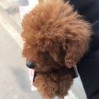 7222c9cbc73f4c3815cd2c6dda3725e76a7f7bd2