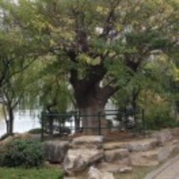 C2ccfba53e05aaae7d8c217e561ba07a7d7bdd8e