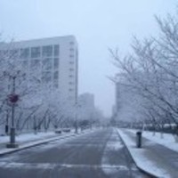 A44f90db70453697d0cfd9a074b2cda2d44bb092