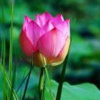 02dbe03e7ae710f5351e0932e8a8fb185631ac38