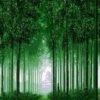 20f88630e60adee47f4fc917405ba5c91d0a8f4c