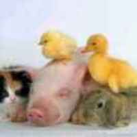 Db282520e983902f7f0dca0a1c39b9a6a9a9bc34