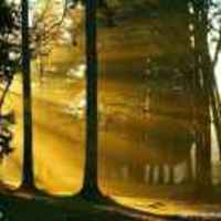 07901f29685eff521c72bd6fa37b4a458628d07b