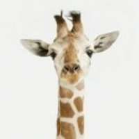 3ec7e602666d5f8a3684b57c7058e191a9212636