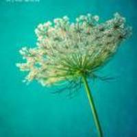 445d8579e527571be20709e79814a9ffbc44e637