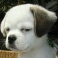 F0a8bf5028b6a18d91b636dd0652a537d1dffec2