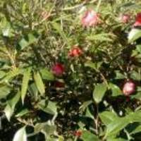 Dea7b636e297ce103d29b3d238dddb587b849d02