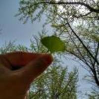 E2d5a77309c9b36cecdd9c6281076acffbb7a5a3