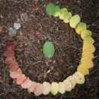 26f1087df240388cdc1bf94a7a6ca17f414ed706