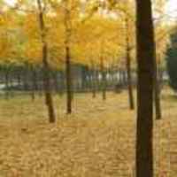 4ed94712299110e39df4e71e4b65e72ad56adb35