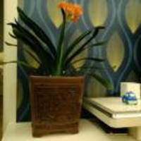 B782cfc366bd26306a6edcdb1aa2142f4dbf20c1