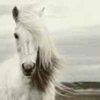 A0267fde0f715606430c6cf6230648832926fa46