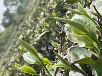 A9af1b17b8f04c7e2279c8789e7d1ca85d9e9326