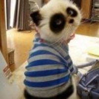 91983ba1796e404c03c928076bcae29e50c31d08