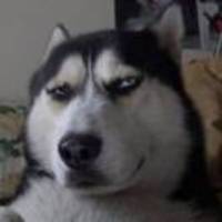 2932110dd358dcfdb1c3abf763cbf118468d1c01