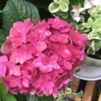 988594b6e280f7aad49a55adb328207531e141c8