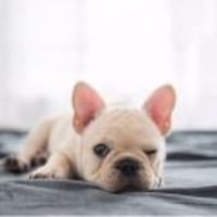 3982cf07330f81fee562e40d9928384b289e3e6b