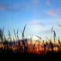 B249ebc34f48fc8e3e65a39e0947c3130f9ea700