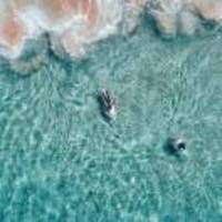 Cd560765367ef929e2614a084bf39f4e78927104