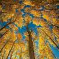 Dd71ab8e33824d0336b6cbf94d10e5f45908af51