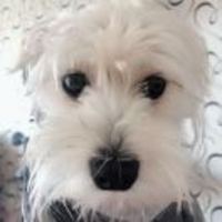 92b3434e8e9ccd829f7bec3d7c7085631e92ca97