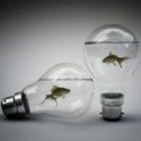 898d22a2bbd7d443ef4c82564f13e7c5f5bd6303