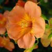 982d7bd817f97b0b8012ed651204451cd14a0f45