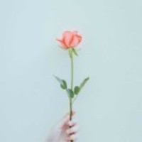 587e79b37490ff20f45f0808af9fe07c44806c65