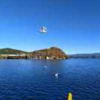 Bd2a3bbdb65f6565e0b2085956deced8874c64ff