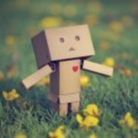 2d9d0686516cbad8c97c5836ce73995c287cf603