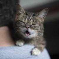 E3e6ec3c0ef4795e6cb3eb6ae82a9451fc7cf33b