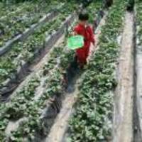 3662edd7dc40d7e96e9742d1140469088d6f4812