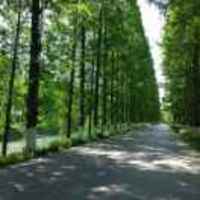 9176f7aafcd2daae33dec9eadd319259f5d6ed09