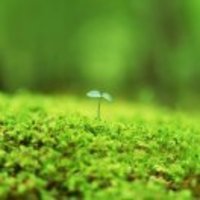 5a74164c2bbe4c3f63cef4ff91d29c10b4b1975d