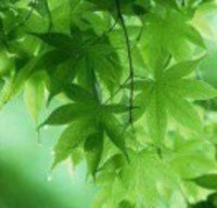 Dc01245990599852126020aa8cec3b1e06a8868a