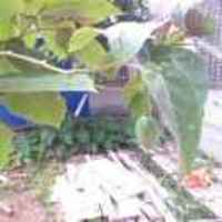 D3c72f3e73c49641042b5414b06e659cde1d1942