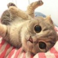 5eb43e11e15a6d0480f4a4d4a3c30e68e35ed9a5